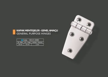 Armetal Sabit Kapak Tipi Menteşe Polisajlı 304 Kalite 38X78X2,0 Mm (Kısa Kare - Uzun Köşeli)
