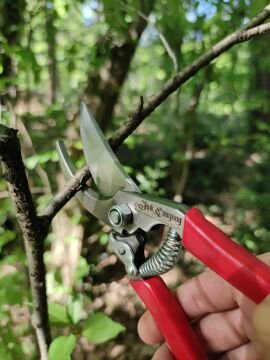 Işık Camping Profesyonel Budama Seti (3 Parça)