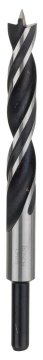 Bosch Ahşap Matkap Ucu Silindir Şaft 13,0x150 mm - 2608596310