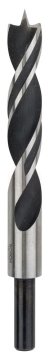Bosch Ahşap Matkap Ucu Silindir Şaft 16,0x160 mm - 2608596313