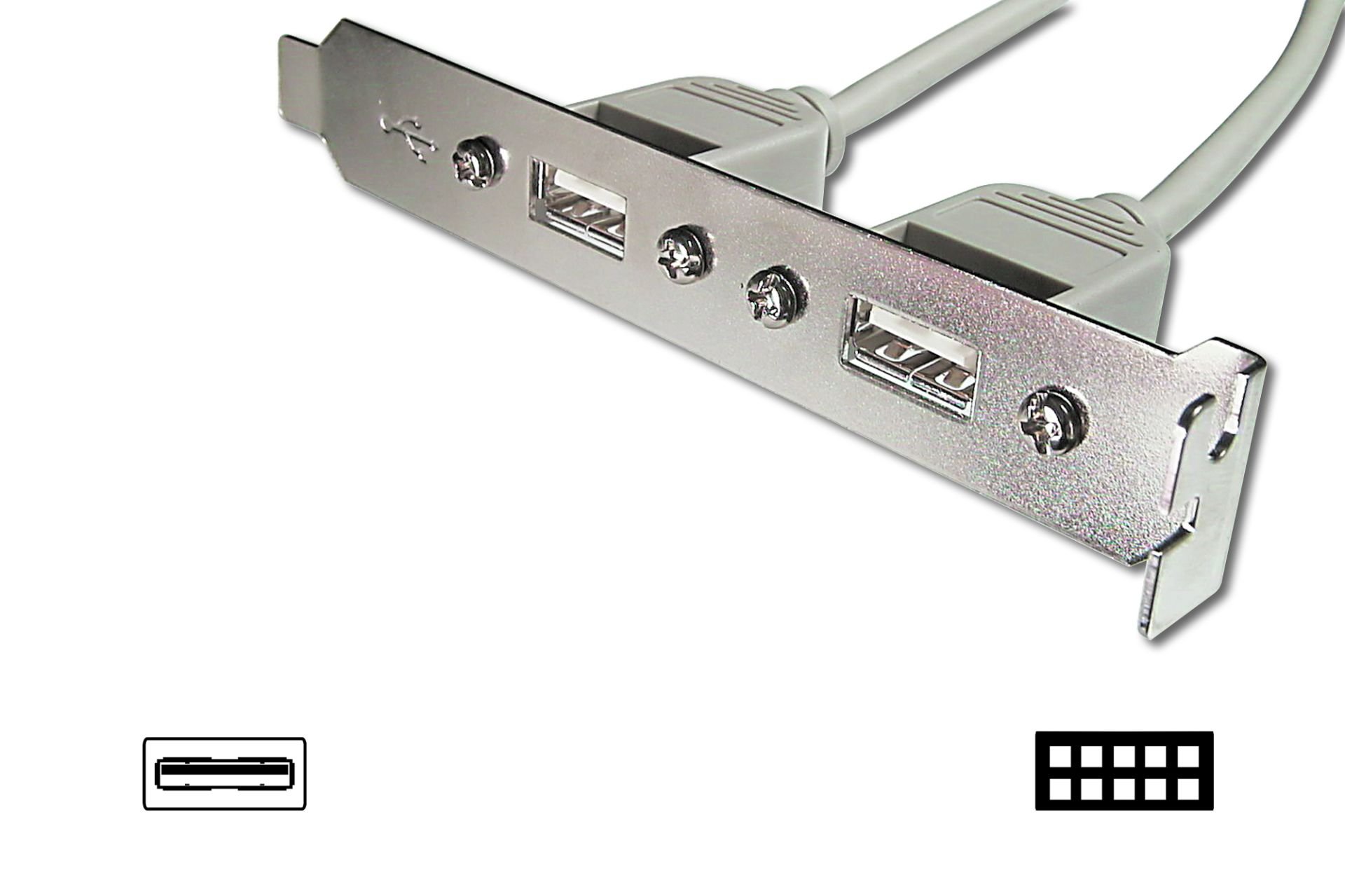 Assmann Anakarttaki Usb 2.0 Portları (Internal) Slot Brackete (External) Taşıyan Kablo, 2 X Usb A Dişi 2 X 5 Pin Idc Dişi, 0.25 Mt, Awg 28