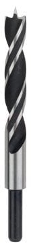 Bosch Ahşap Matkap Ucu Silindir Şaft 15,0x160 mm - 2608596312