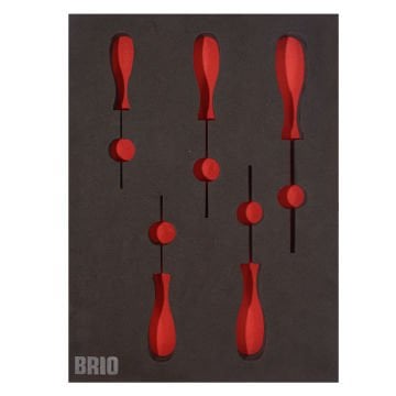Brio Tornavida Seti Torx (Tork) 5 Parça T10-T30 B Line Sünger Yatak Boş