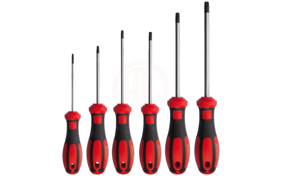 Ceta Form 6 Parça C-Plus Tornavida Takımı Torx