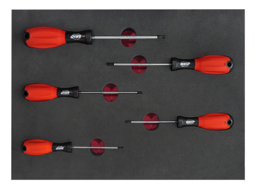 Brio Tornavida Seti Torx (Tork) 5 Parça T10-T30 Sünger Yataklı