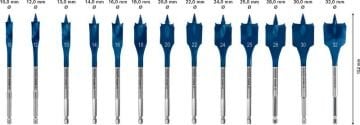 Bosch Ahşap Matkap Uç Expert SCS Yaprak HEX Set (13 Parça) - 2608900336