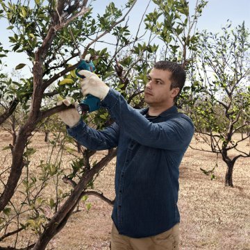 Bosch Akülü Bahçe Makası Pro Pruner (Aküsüz) - 06019K1020