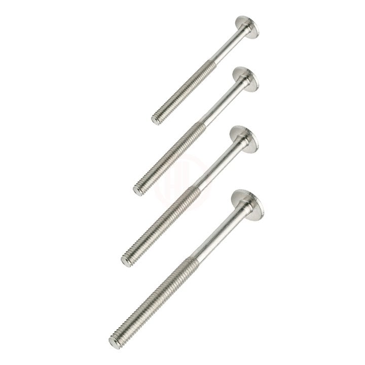 Ayder Silindir Vida Allen Baş M6x30 Nikel - A 0203-1