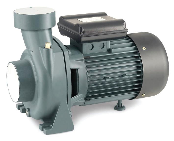 Rainpump Shfm6A Santrifuj Pompa 2.2 Kw