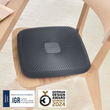 Leitz Ergo Active Wobble Denge Oturma Yastığı, Gri, 65390089, Ergonomik Sandalye Minderi