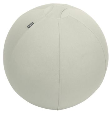 Leitz Active Oturma Topu, Durdurma Fonksiyonlu, Sabit Taban, 65410085, Açık Gri, 55Cm