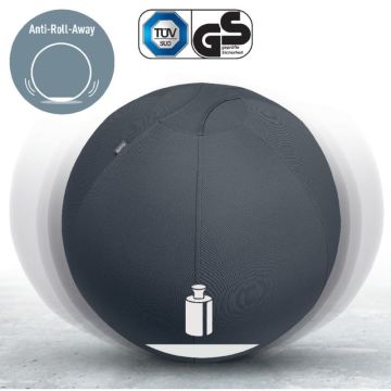Leitz Active Oturma Topu, Durdurma Fonksiyonlu, Sabit Taban, 65410089, Gri, 55Cm