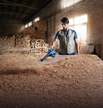 Bosch Üfleme Makinesi GBL 800 E - 0601980420 + Honeywell H901EN FFP2 Katlanabilir Toz Maskesi ve Dekor Rulo Lastik Ağızlı Çekçek Plastik 42,5 Cm Hediyeli