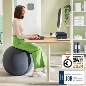 Leitz Active Oturma Topu, Durdurma Fonksiyonlu , Sabit Taban, 65Cm, Gri, 65420089