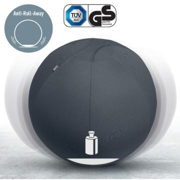 Leitz Active Oturma Topu, Durdurma Fonksiyonlu , Sabit Taban, 65Cm, Gri, 65420089