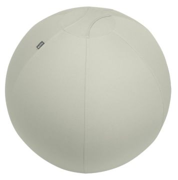 Leitz Active Oturma Topu, Durdurma Fonksiyonlu , Sabit Taban, 75Cm, Açık Gri, 65430085