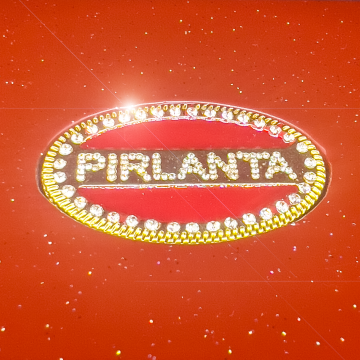 Pırlanta Özel Tasarım Klozet Kapağı