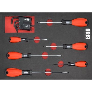 Brio Tornavida Düz-Yıldız Seti Ve Allen Torx Seti 13 Parça Sünger Yataklı (Tork Alyan Seti)