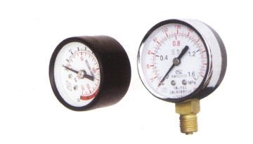 Rainpump Tps-Ss Manometre 50 Mm 1/4”