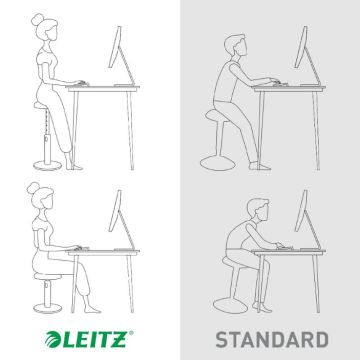 Leitz Ergo Active Ayaklı Tabure 2'Si 1 Arada, Sit Stand Stool, 65180019, Sarı