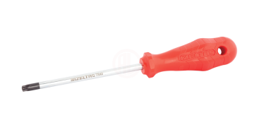 İzeltaş Delikli Torx Uçlu Tornavida TR09 4x60 mm