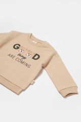 Organik Sweatshirt