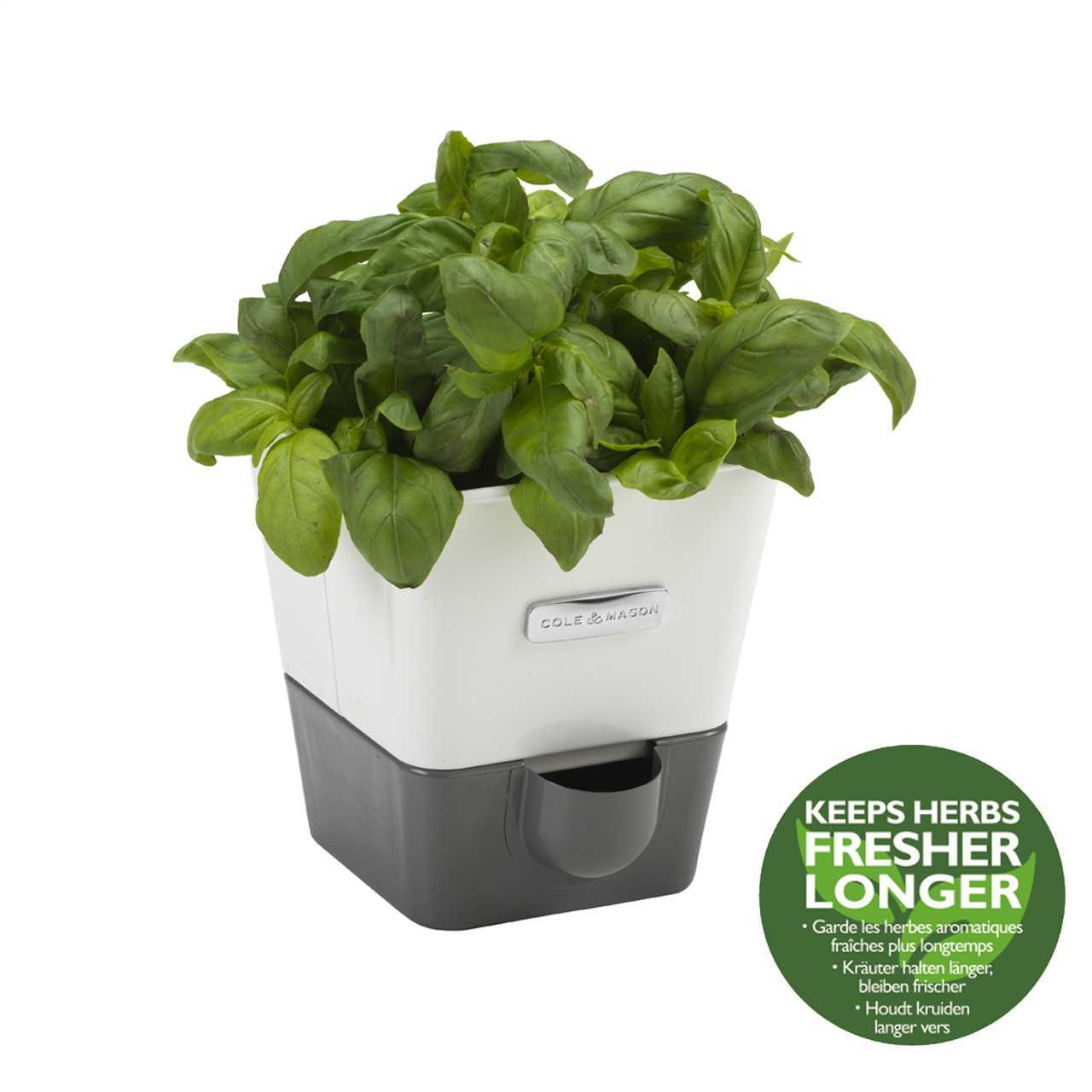 SELF-WATERING HERB KEEPER SI