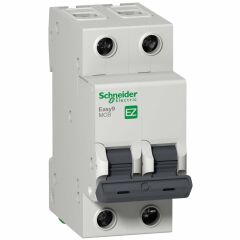 Schneider Electric EZ9F43210 2X10A 3kA C Otomatik Sigorta