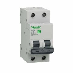 Schneider Electric EZ9F56225 2X25A 6kA C Otomatik Sigorta