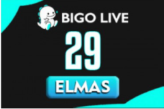 Bigo Live 29 Elmas