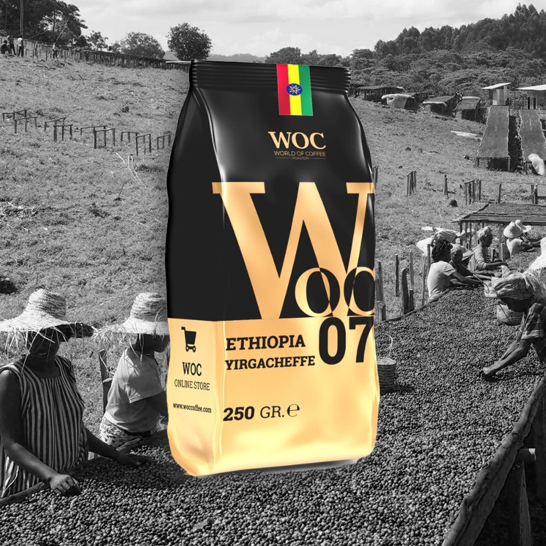 WOC Ethiopia Yirgacheffe Coffee