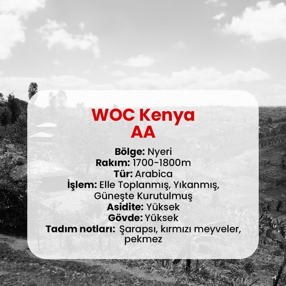 Woc Kenya AA Coffee