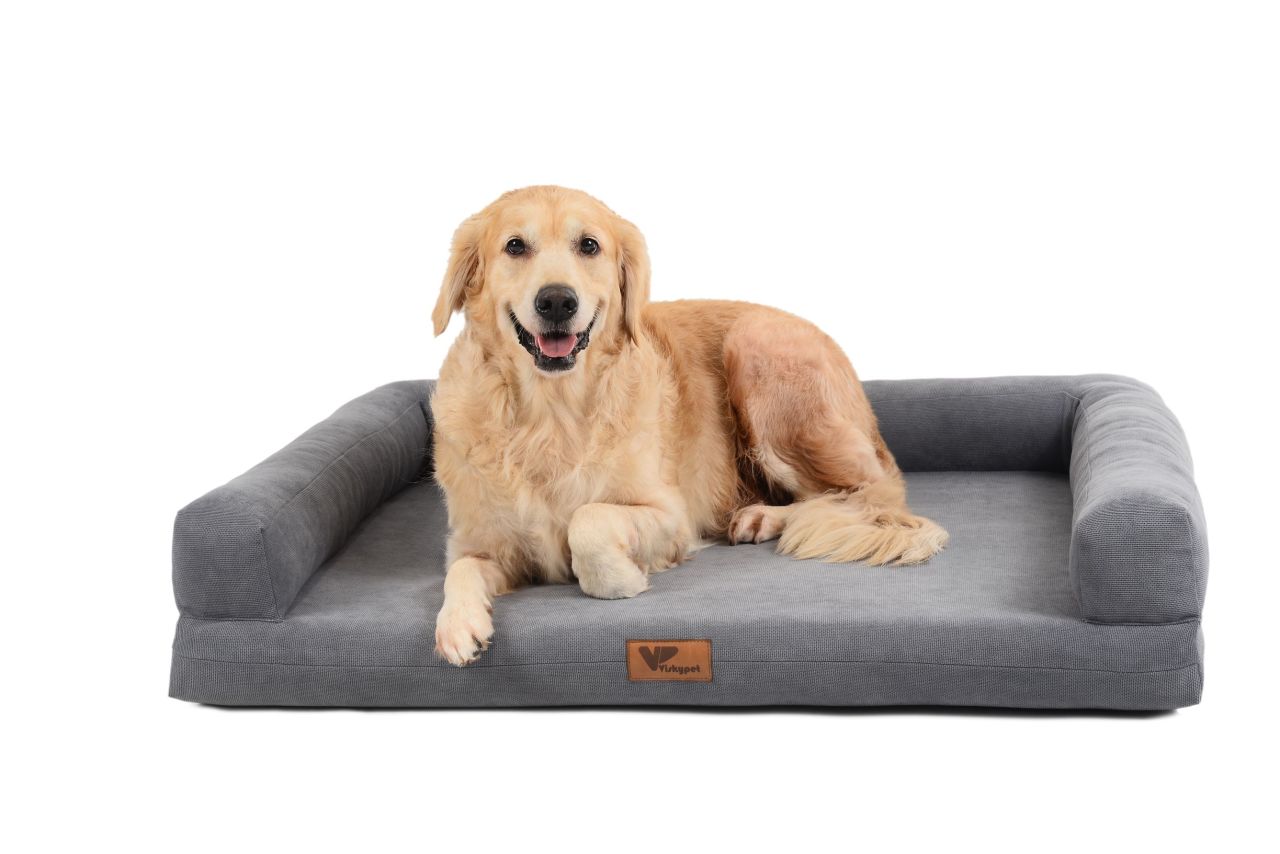 Viskypet Memory Foam Ortopedik Köpek Yatağı