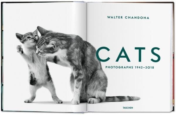 Cats - Photographs 1942-2018