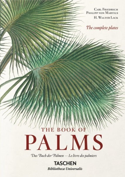 The Book of Palms XL