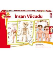 Educa İnsan Vücudu Puzzle