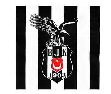 Lisanslı Beşiktaş Peçete 16 Adet