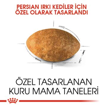 Royal Canin Persian 30 Iran Kedilerine Özel Yetişkin Kedi Mamasi 10 Kg