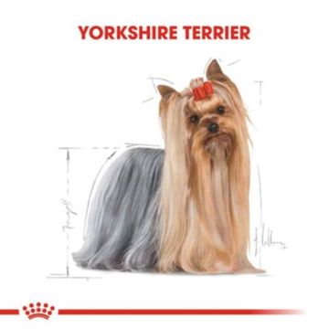 Royal Canin Yorkshire 28 Yorkshire Terrier Köpeklerine Özel Irk Mamasi 1,5 Kg