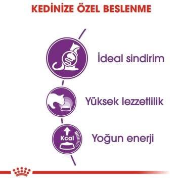 Royal Canin Sensible 33 Hassas Sindirimi Olan Kediler Için Mama 4 Kg