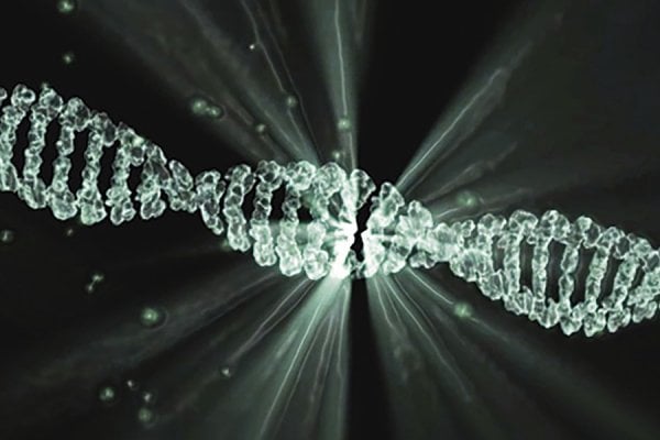Temel DNA Semineri