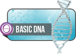 22-24 KASIM BASİC DNA - YÜZYÜZE