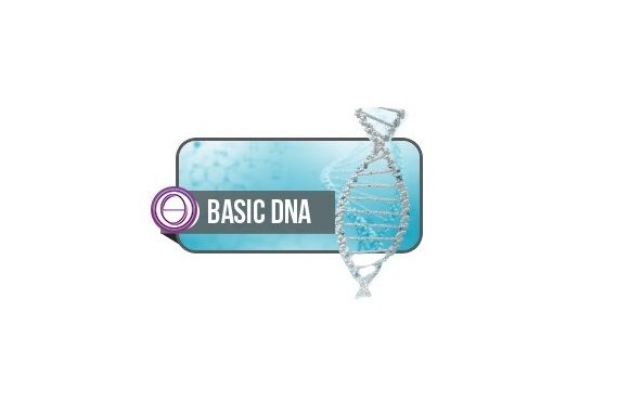 7-9 Haziran Temel DNA