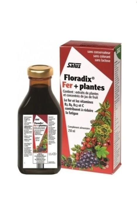 Floradix Sıvı Takviye edici Gıda 250 ml