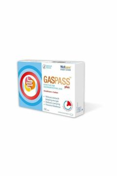 Wellcare Gasspass Plus 20 Tablet