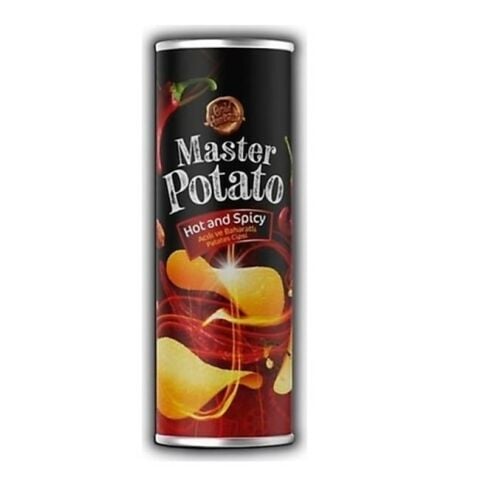 MASTER POTATO 160GR HOT&SPİCY 1*14