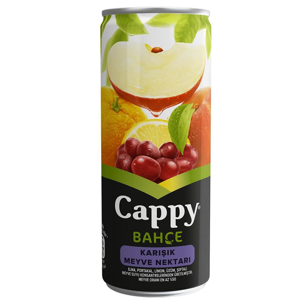 CAPPY K.250ML KARIŞIK 1*12