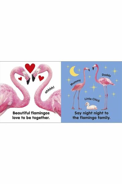 Baby Touch And Feel Flamingo