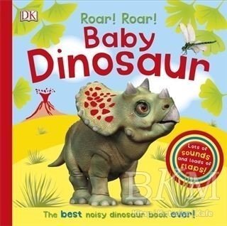 Roar! Roar! Baby Dinosaur