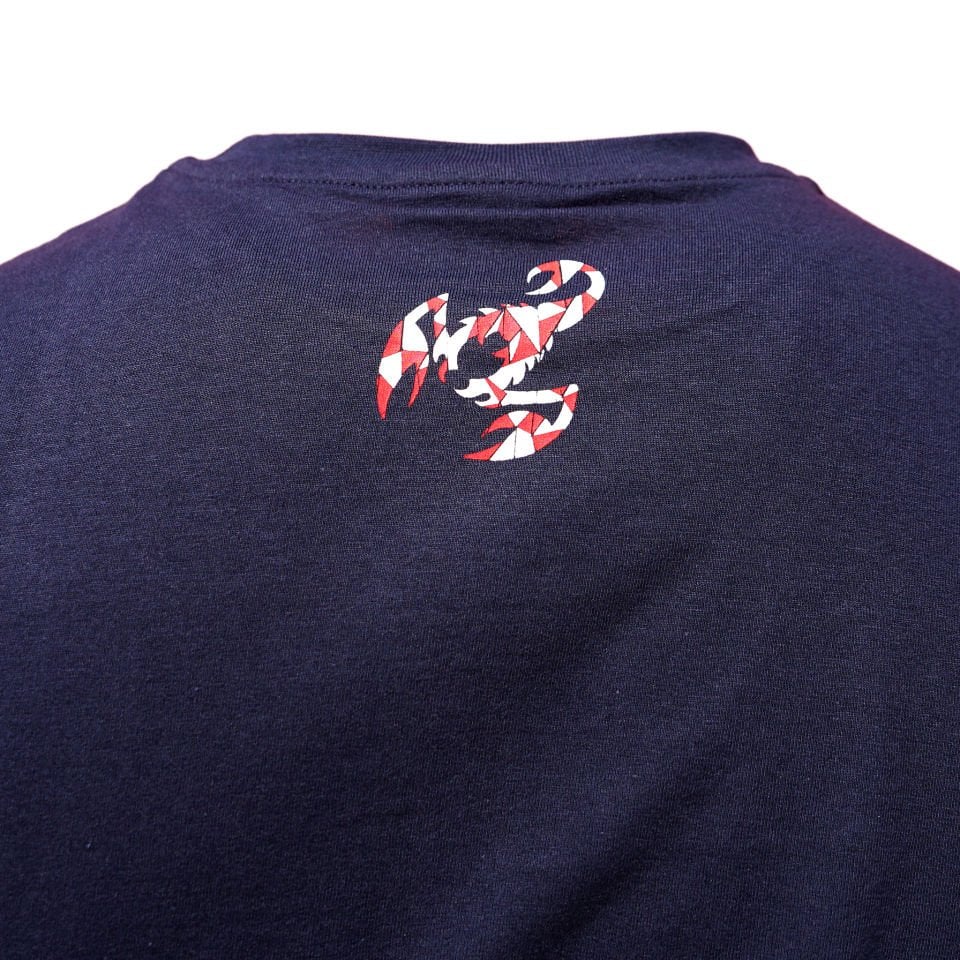 ANTALYASPOR LOGO  DAMALI ANTALYA YAZILI  TSHIRT